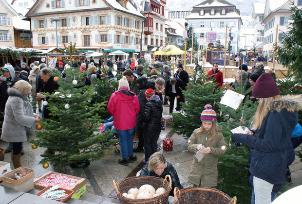 Christbaumversteigerung am Marktplatz Dornbirn. 